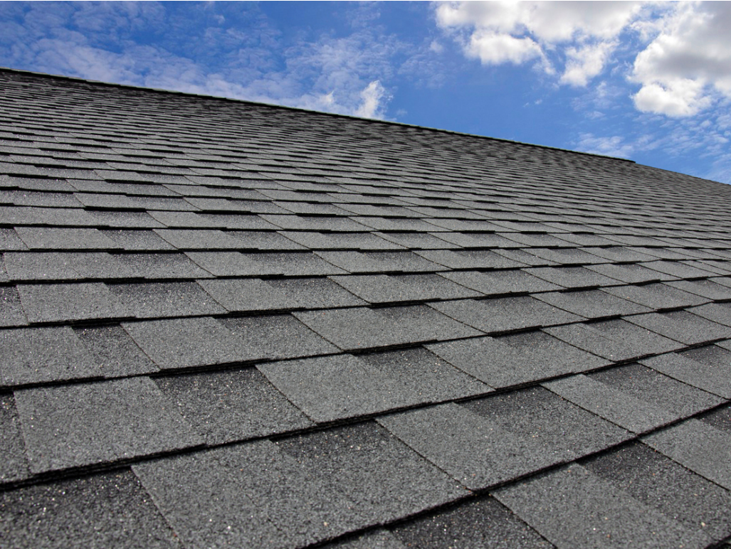 shingles roof